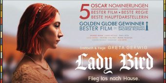 lady_bird