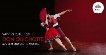 bolshoi_don_quichotte