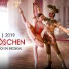 bolshoi_dornroeschen