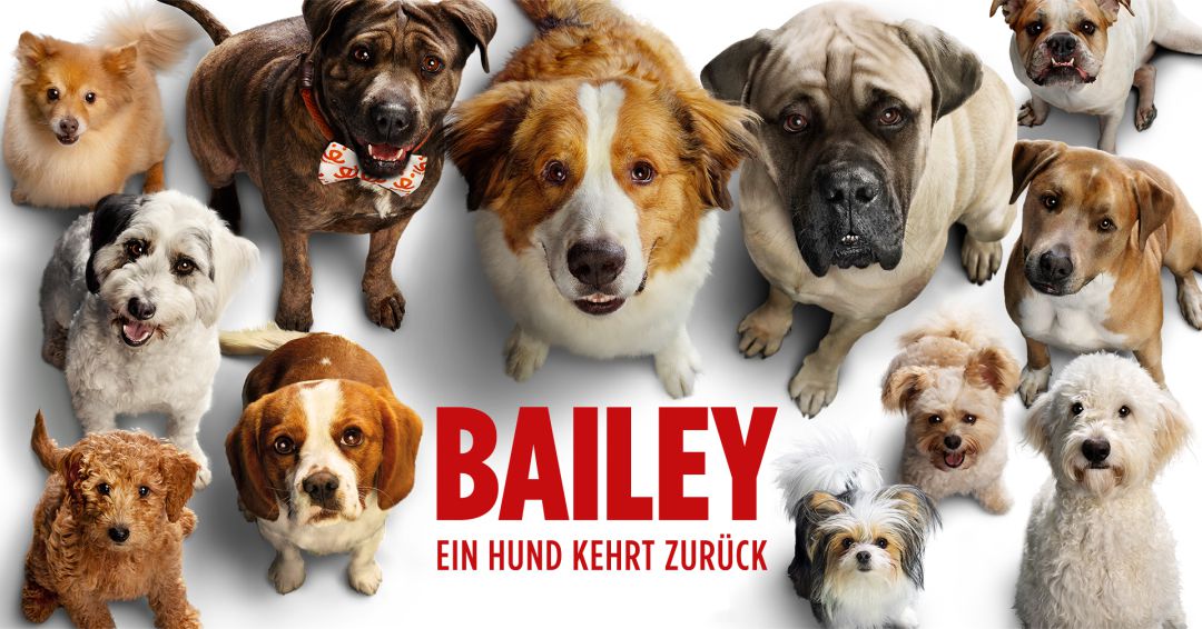 bailey_ein_hund_kehrt_zurueck