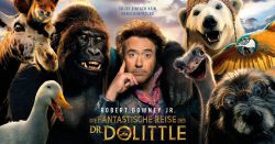 dr_dolittle