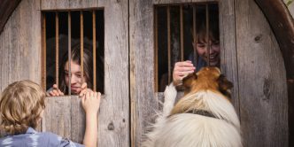 Lassie_576