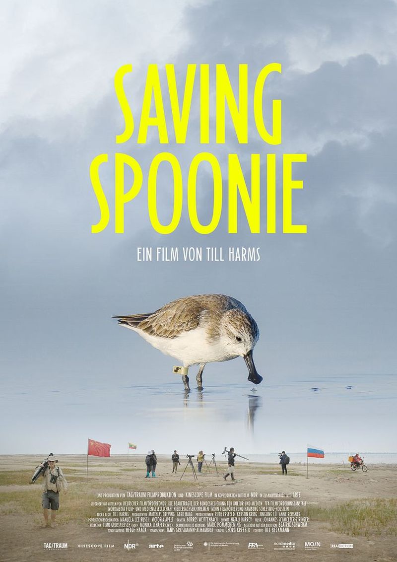 Spoonie_Vorschau